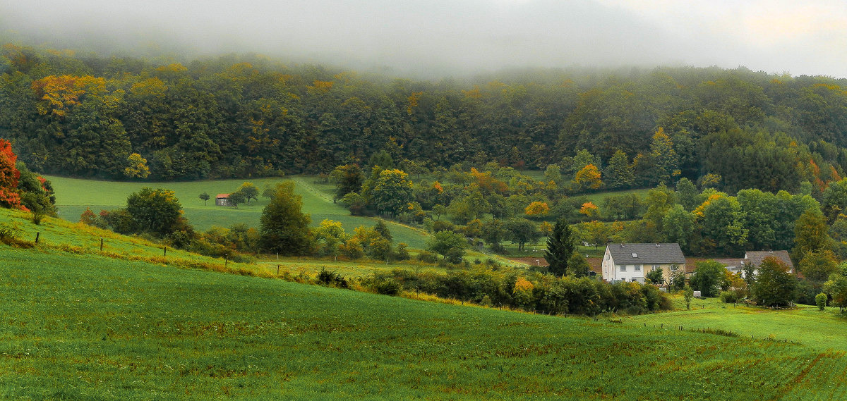 Густые краски осени. - Ирина ...............