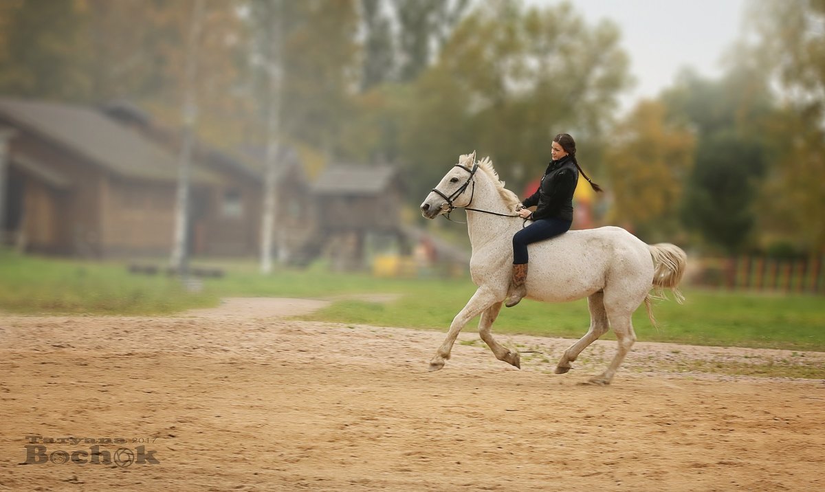 Лошадь - Татьяна Бочок