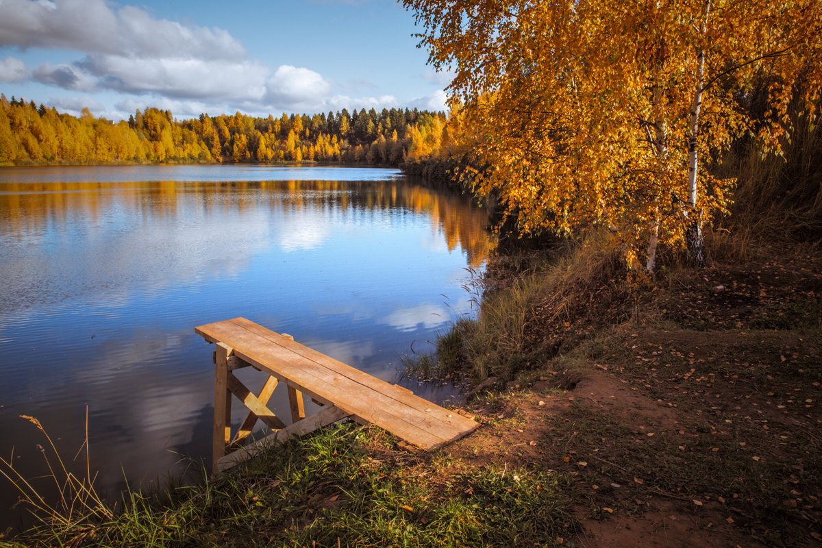 На озере - Алексей Федотов