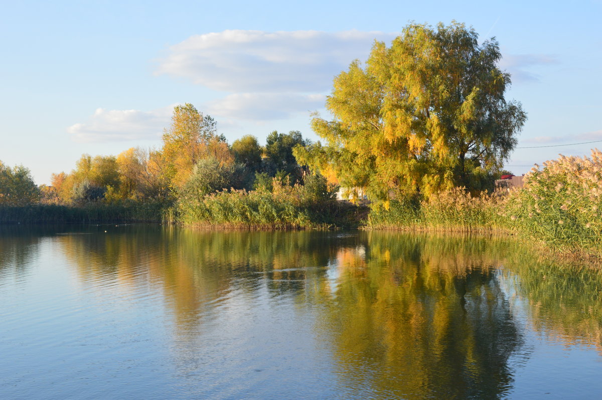 *** - Виктор ЖИГУЛИН.