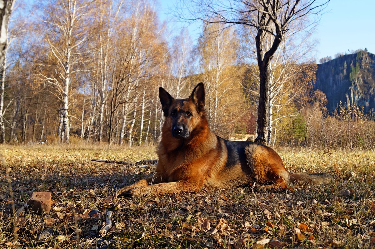 Рада - Кристина Воробьева