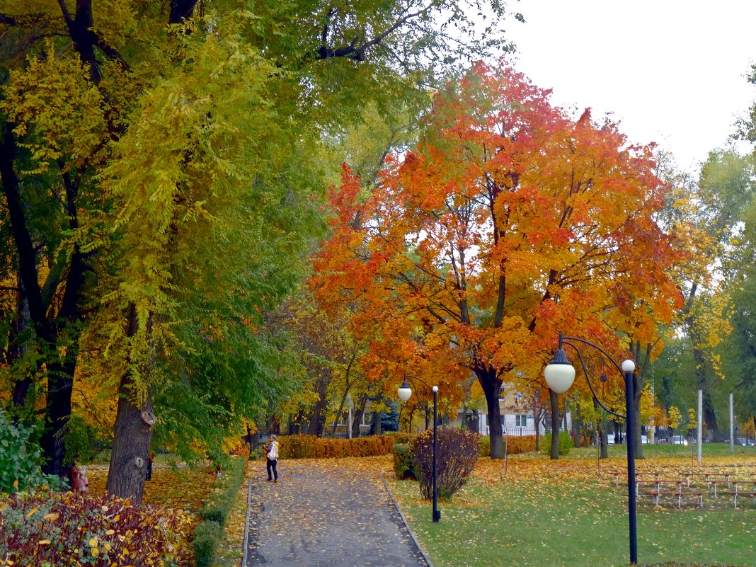 Осень. - Чария Зоя 