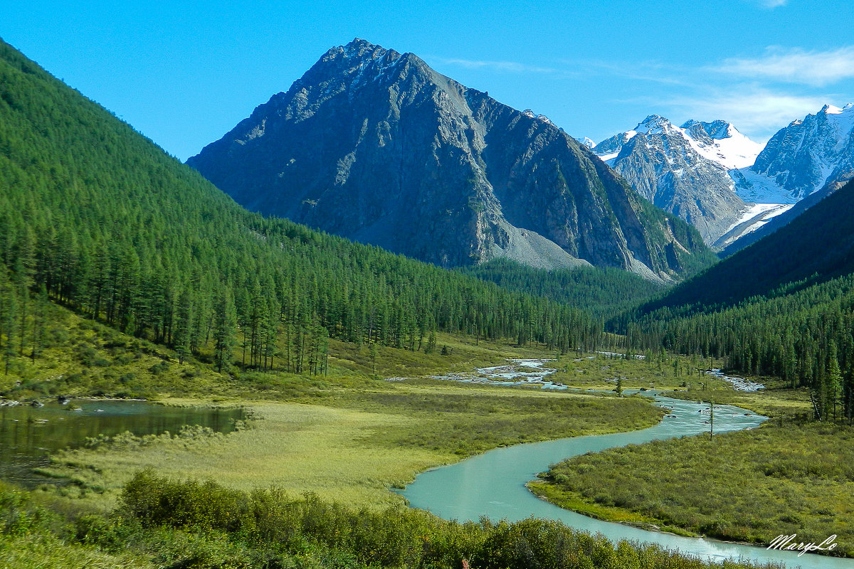 Altai - Marina Tuikova