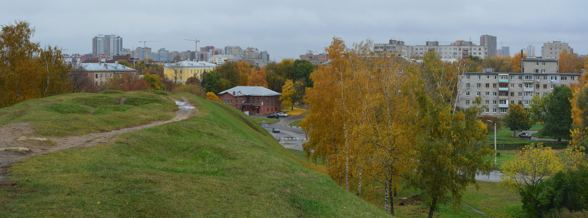 Вид со стороны вала в рязанском кремле (панорама) - Александр Буянов