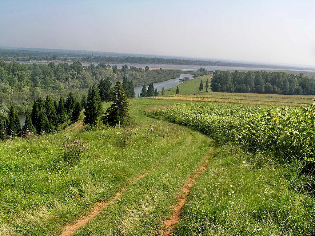 Где В Кировской Области Можно Купить