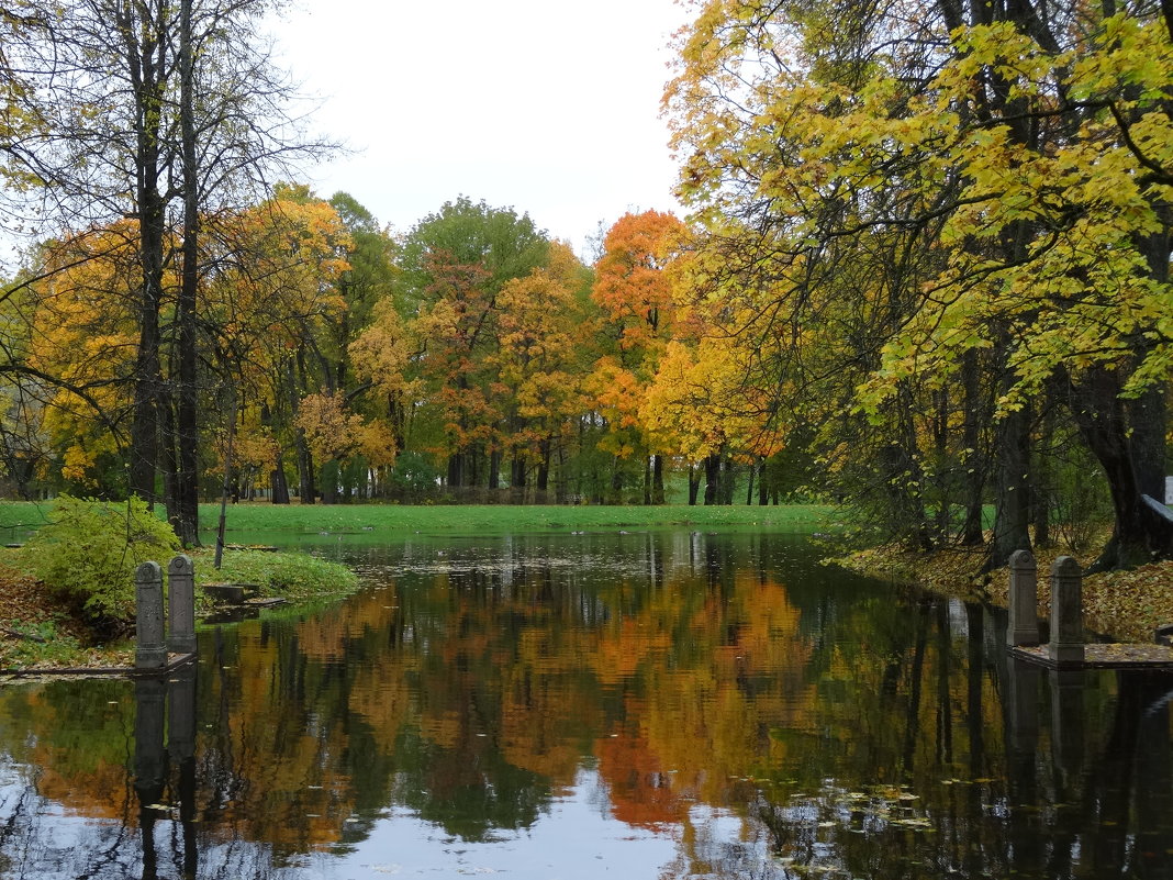 Осенний пейзаж - Наталия Короткова