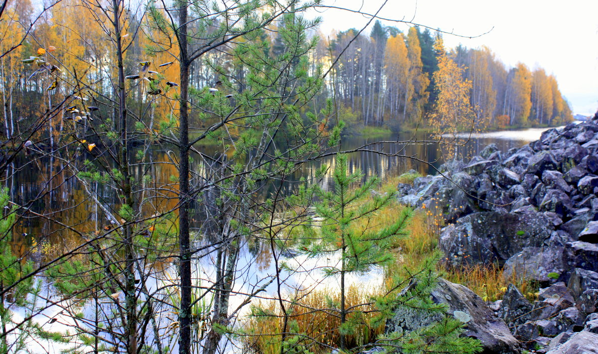 ОСЕНЬ В КАРЕЛИИ - Николай Гренков