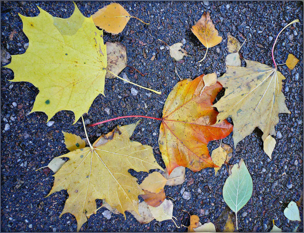 Осенние листики - Galina Belugina
