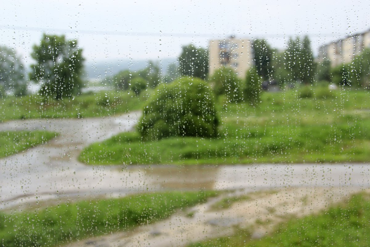дождь - андрей шилов