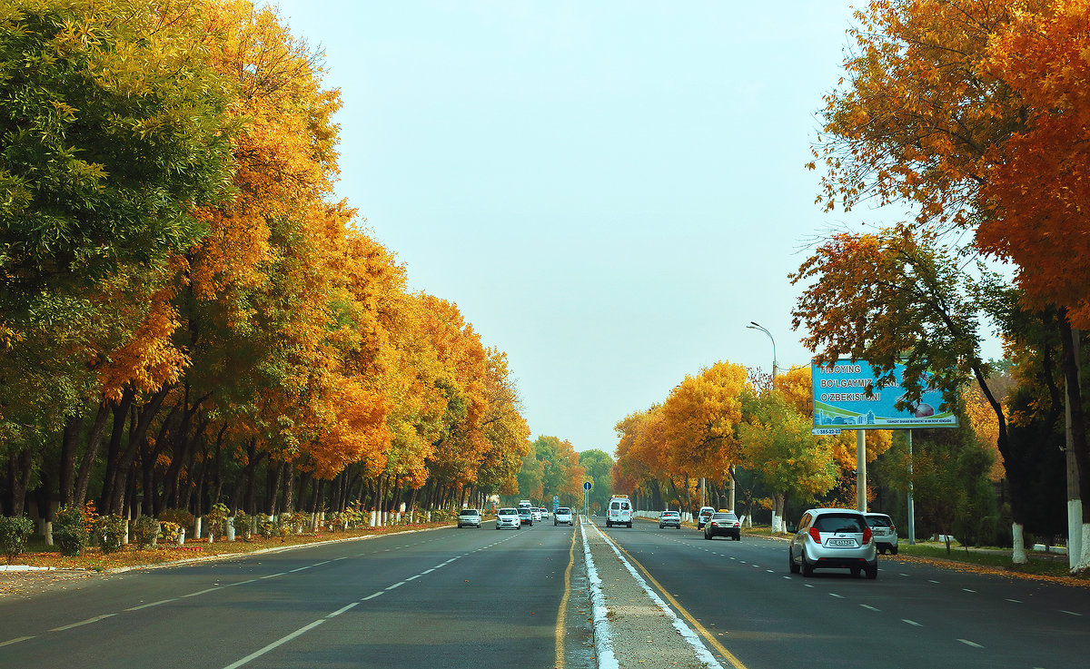 Осень в городе - Светлана 