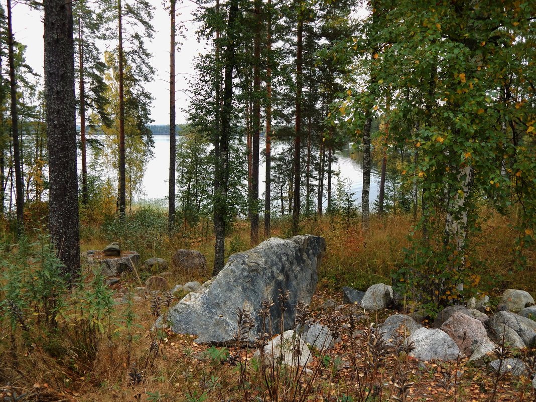 Страна Suomi. Берег озера Сайма. - Лариса (Phinikia) Двойникова