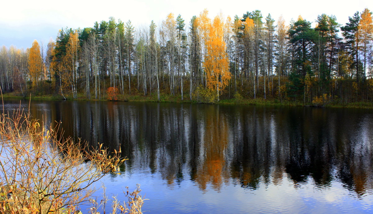 Осень в Карелии - Николай Гренков