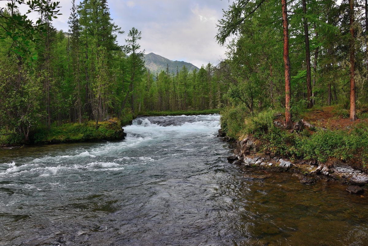 *** - Александр Хаецкий