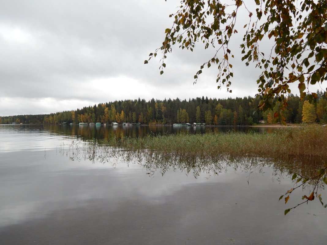 Страна Suomi. Озеро Сайма. - Лариса (Phinikia) Двойникова