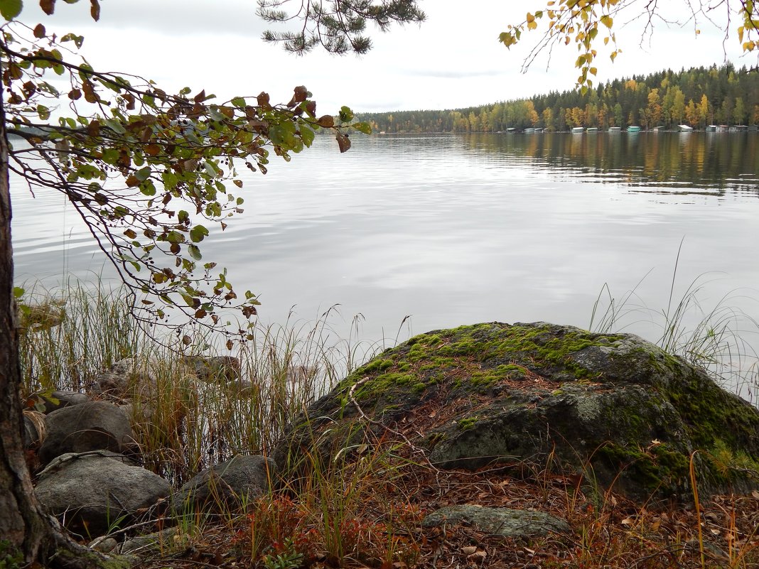 Страна Suomi. Озеро Сайма. - Лариса (Phinikia) Двойникова