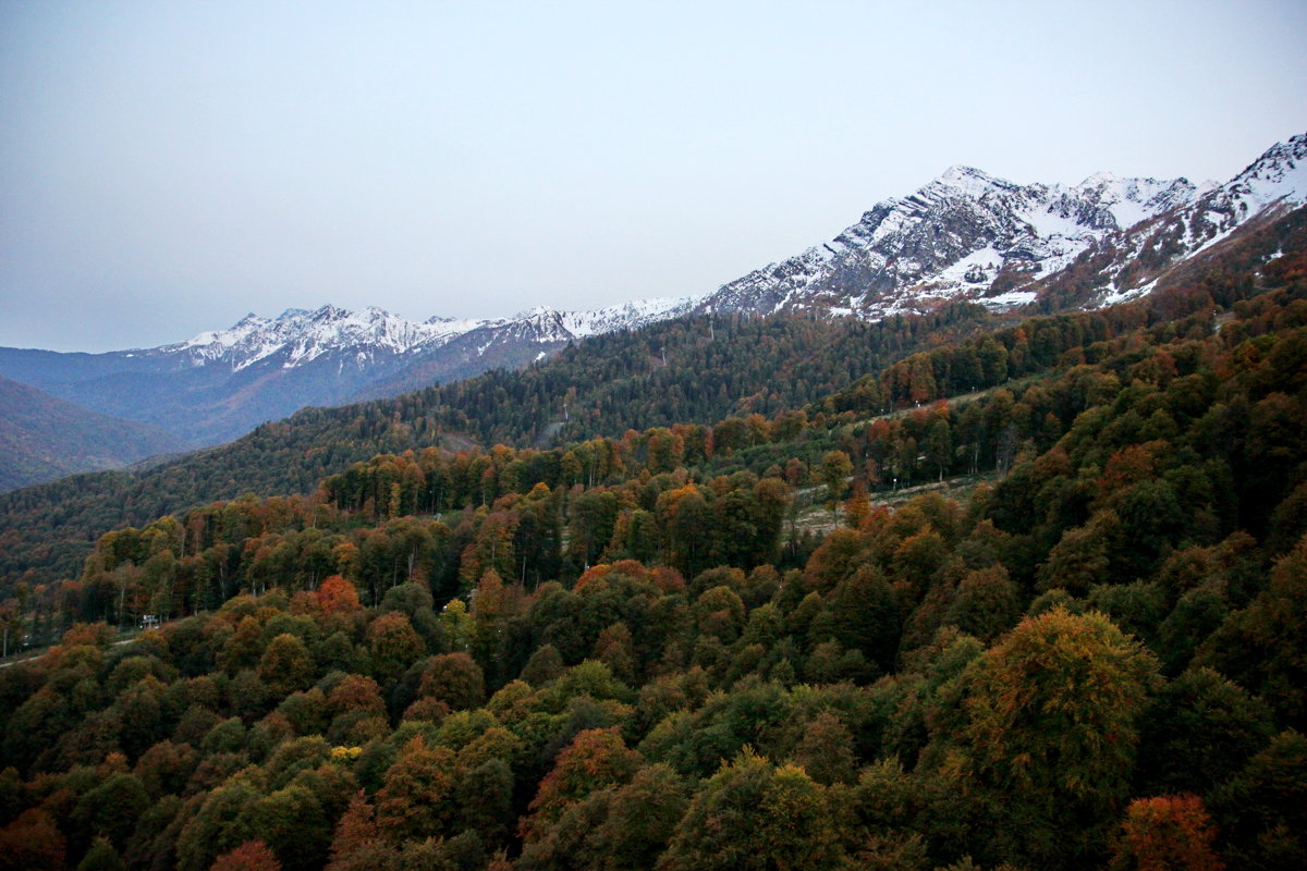 Осень в горах - Виолетта 