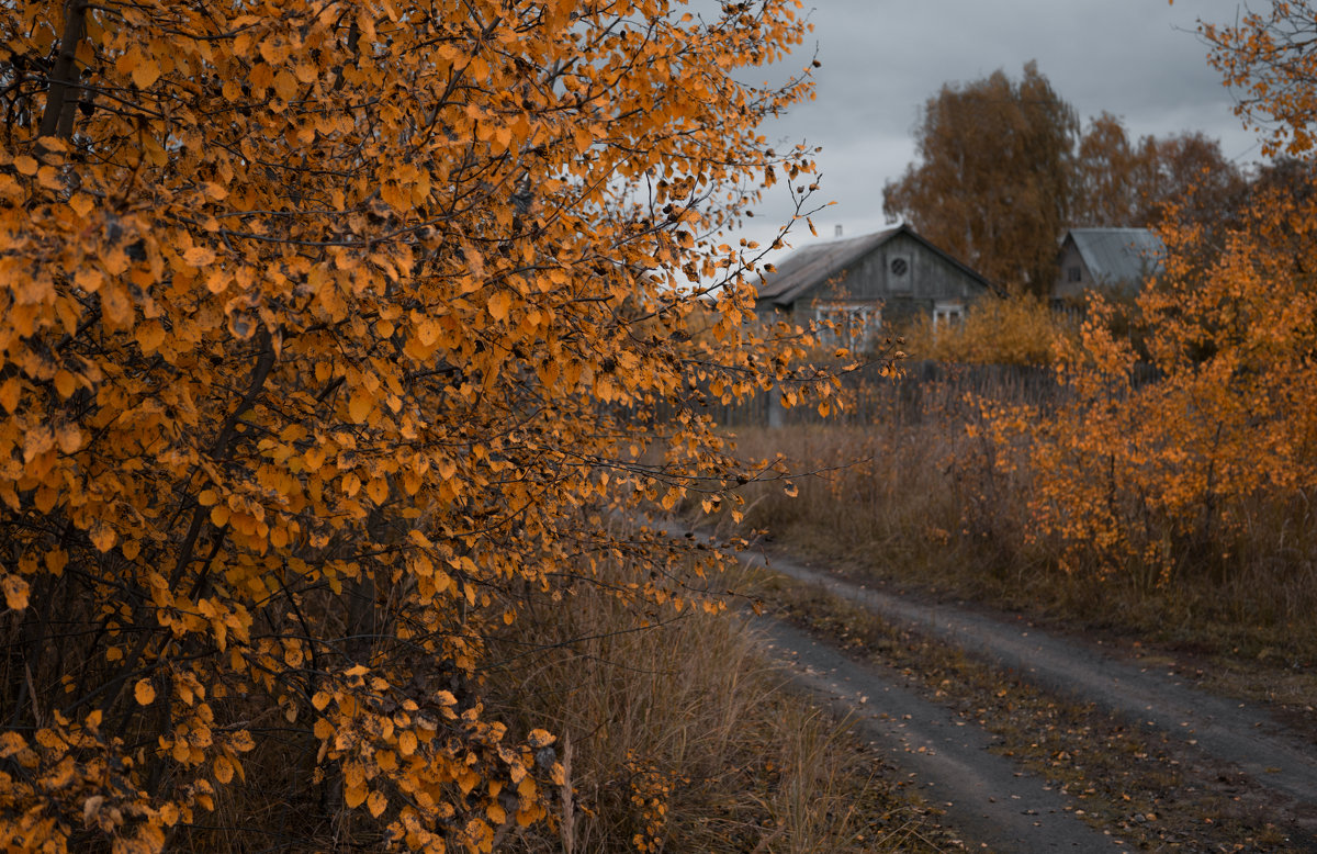 Осень в деревне - Илья Попов