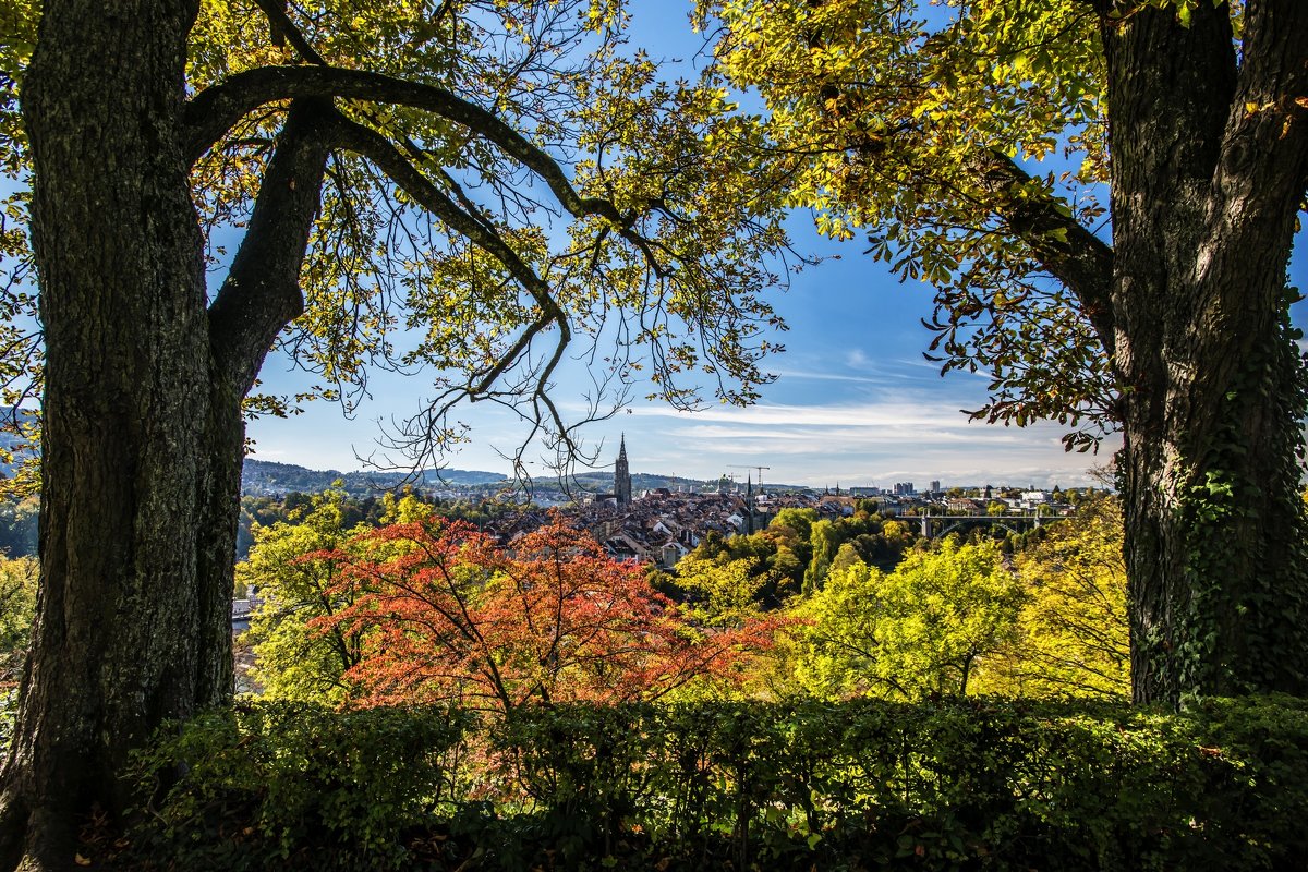 window in the autumn Bern - Dmitry Ozersky