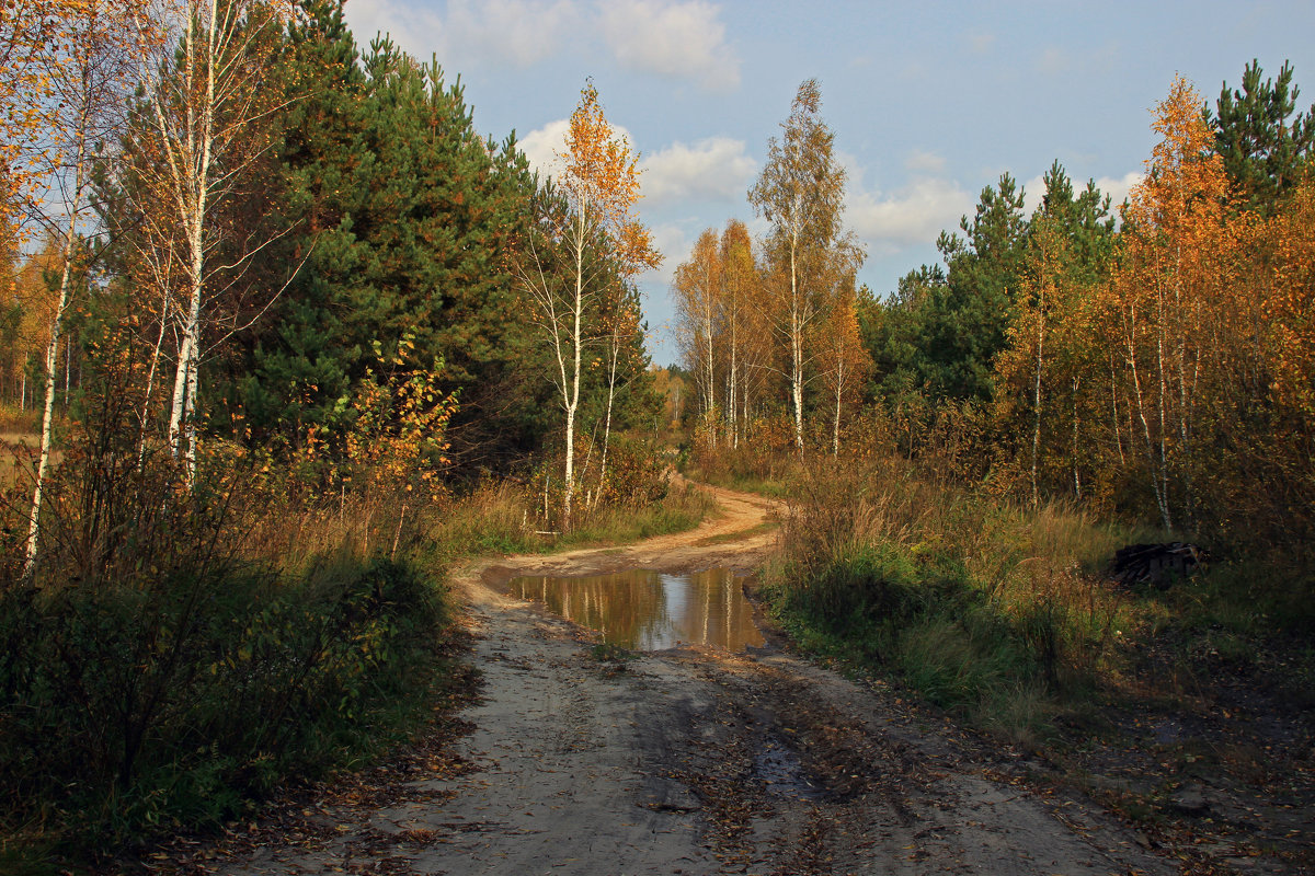 прогулка в осень - оксана 