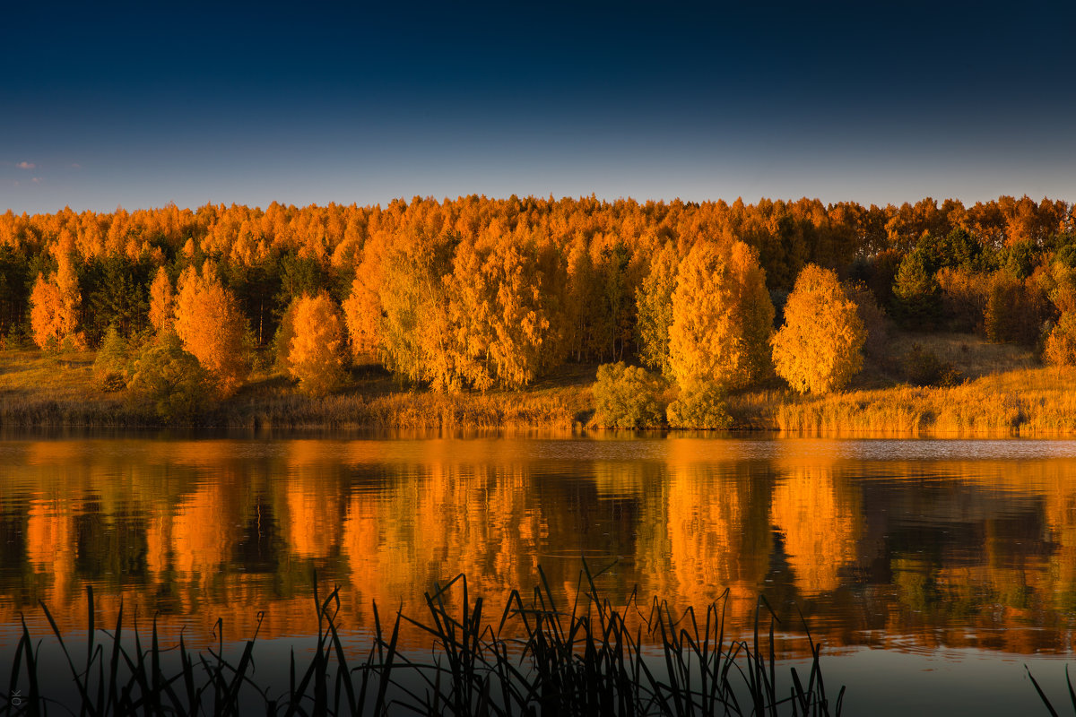 ЖАР ОСЕНИ - ОЛЕГ КАРАУЛОВСКИЙ