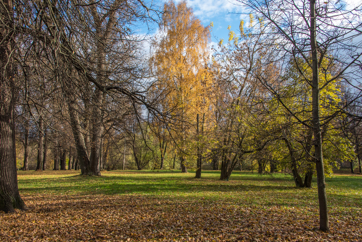 *** - Владимир Безбородов