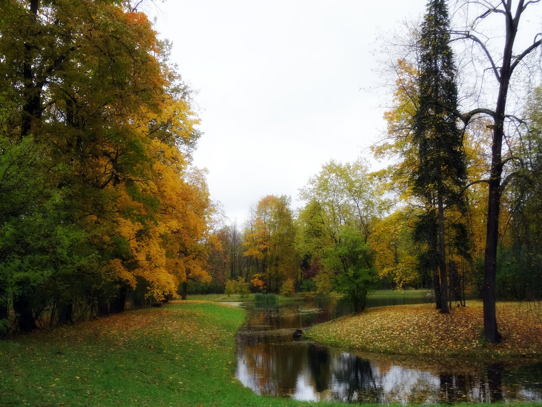 Осень в Александровском парке - Наталия Короткова