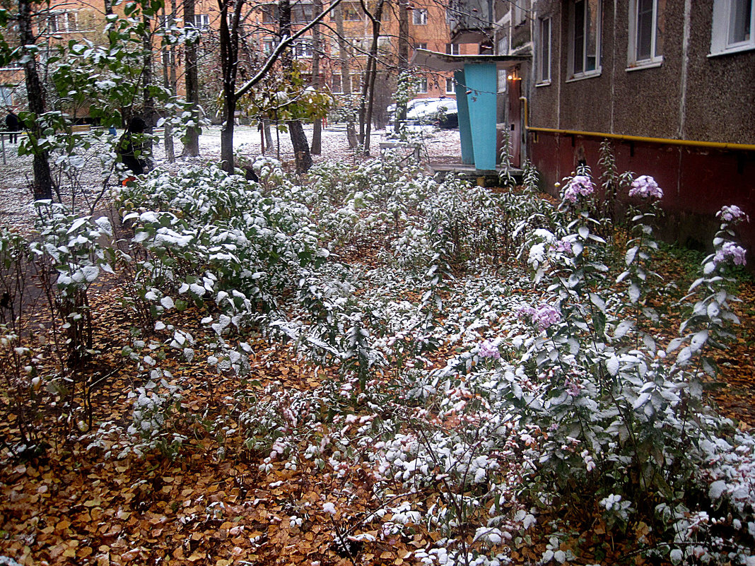 Зима пришла в октябре - Елена Семигина
