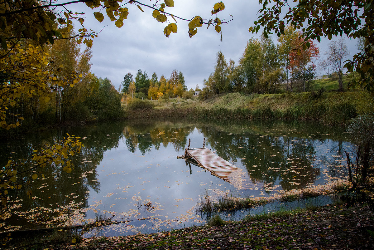 Водоём - Тамара Цилиакус