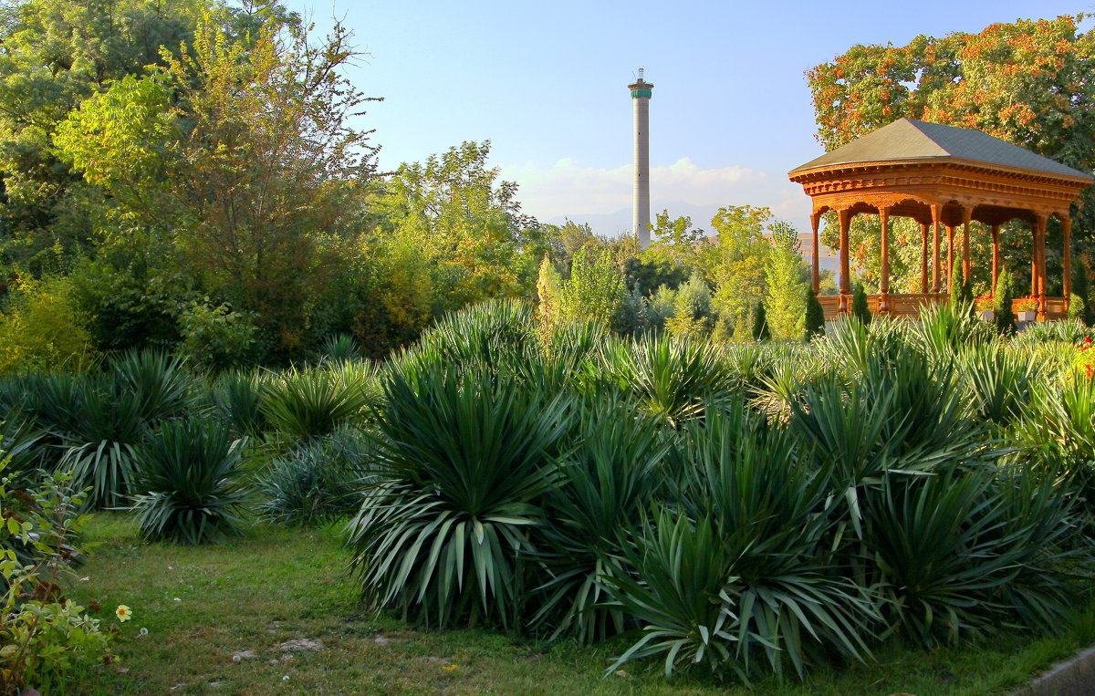 Центральный ботанический сад - Андрей 