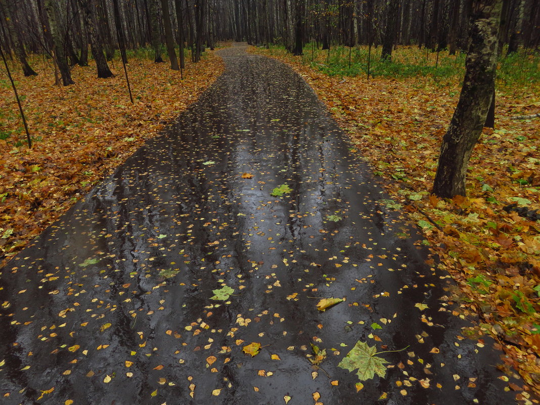 Осень очень по-настоящему - Андрей Лукьянов