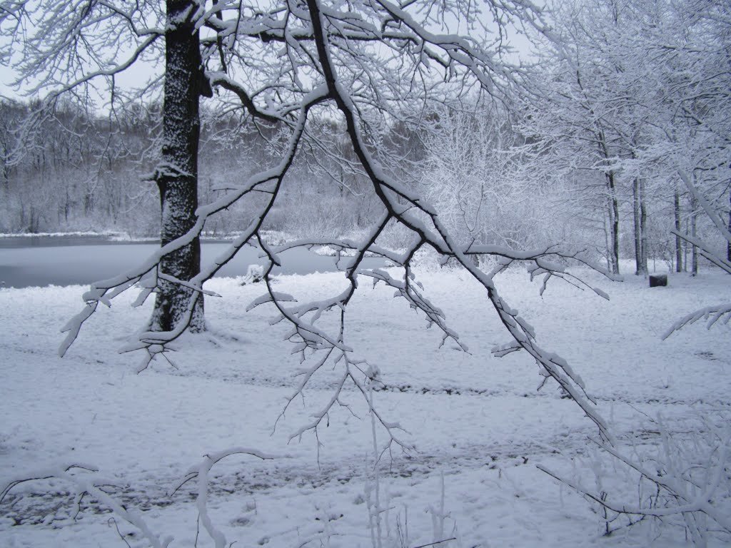 _Зима первый снег - Анна Воробьева