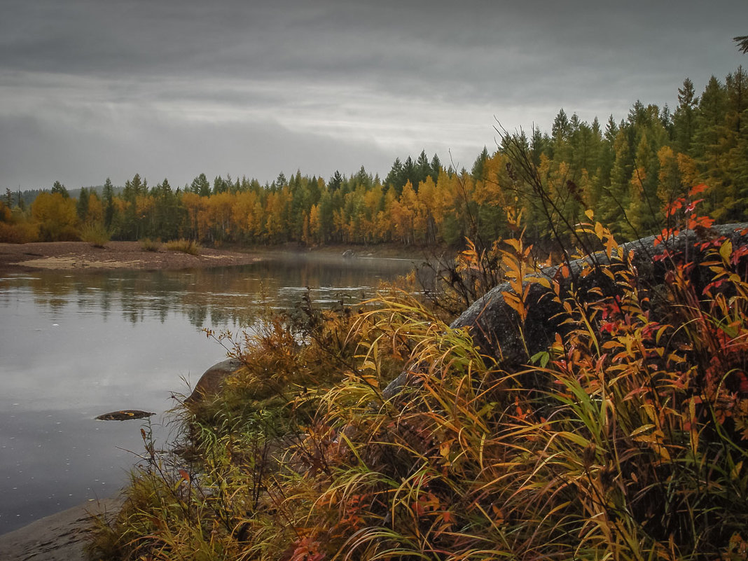 Осень на реке - П.И. Олейник 