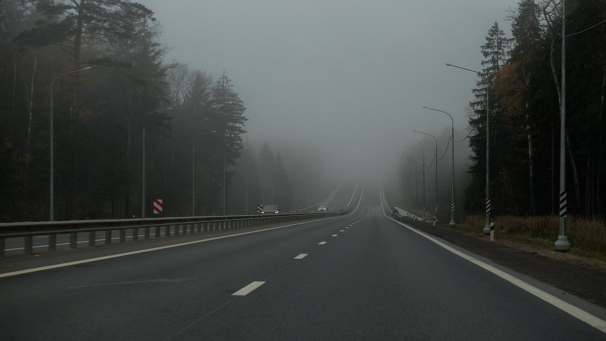 Дорога в туман - Виктор 