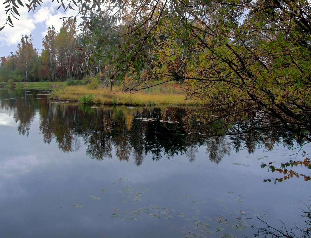 Осеннее озеро - Сергей Карачин