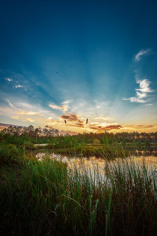 Ugra sunset - Вадим Белов