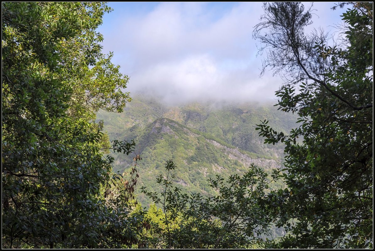 Madeira, Ribeiro  Frio-Portela. - Jossif Braschinsky