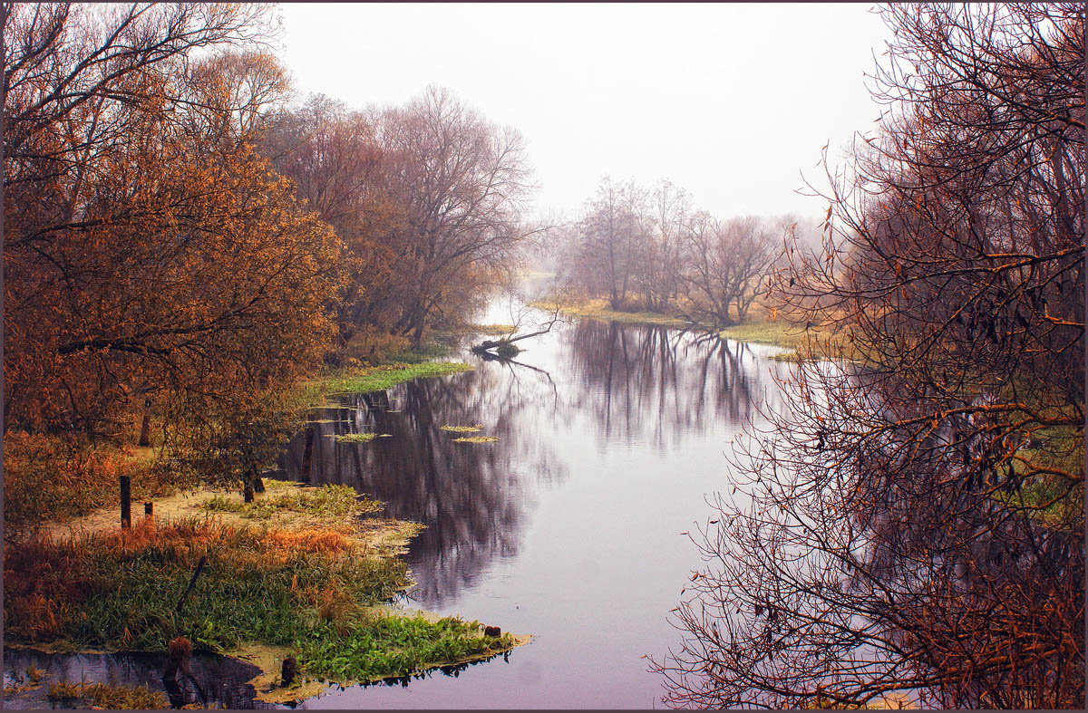 ЛІСТАПАД ... - OLEG SCH 