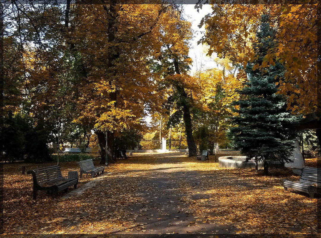 Осень в городском парке - Владимир Бровко