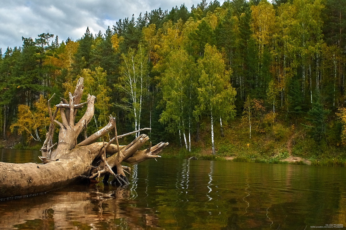 Река - Владислав Левашов