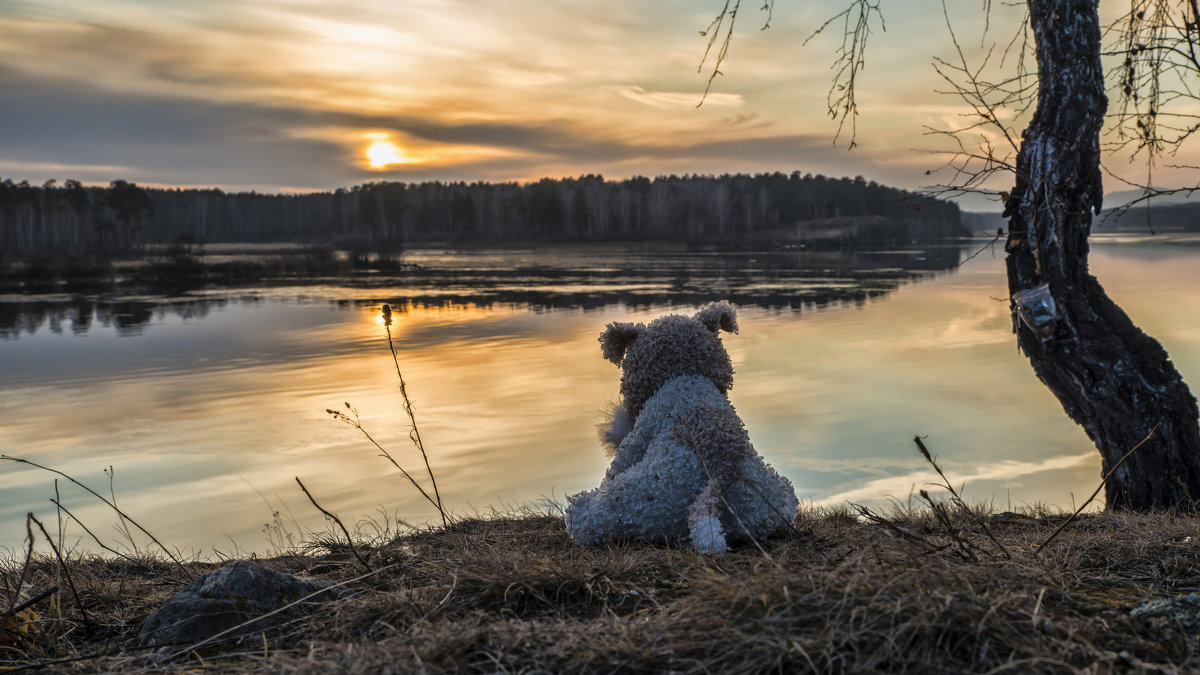 evening at the lake in November - Dmitry Ozersky