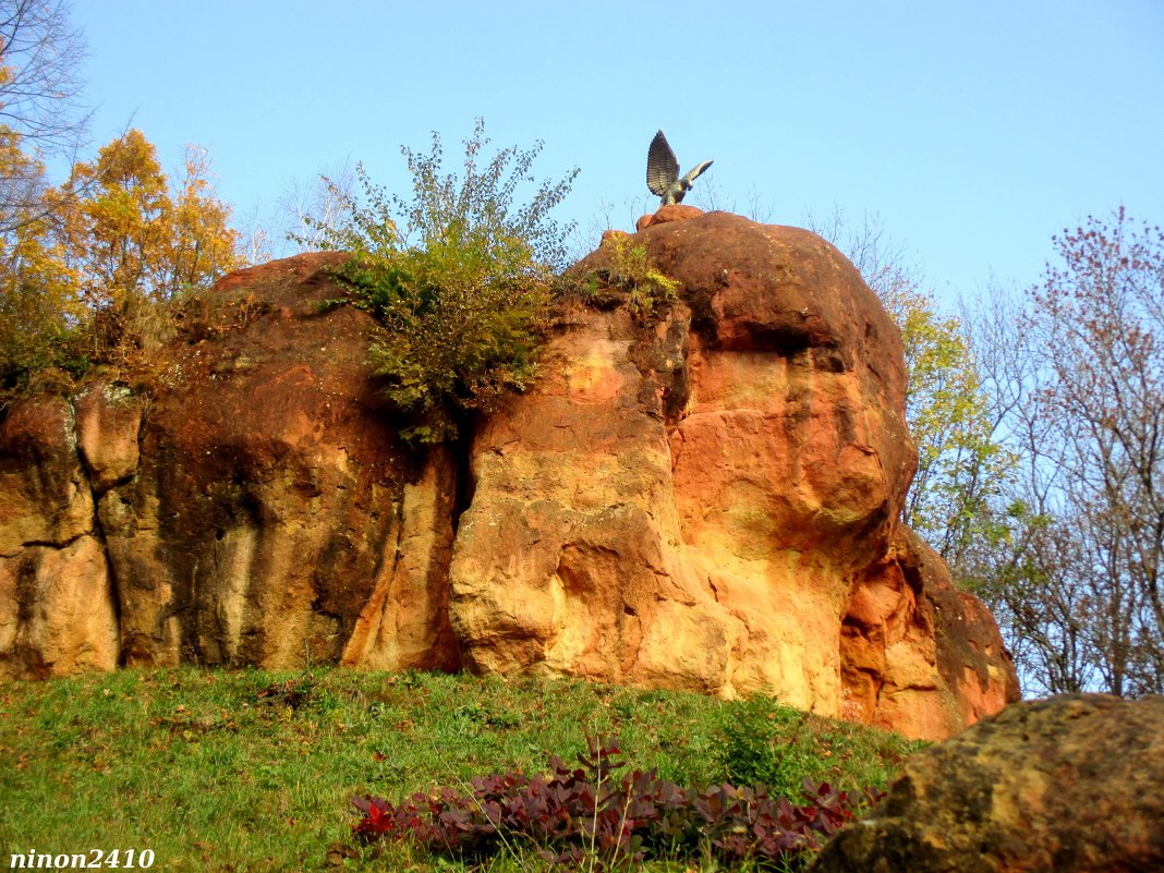 Орёл в  Кисловодском курортном парке - Нина Бутко