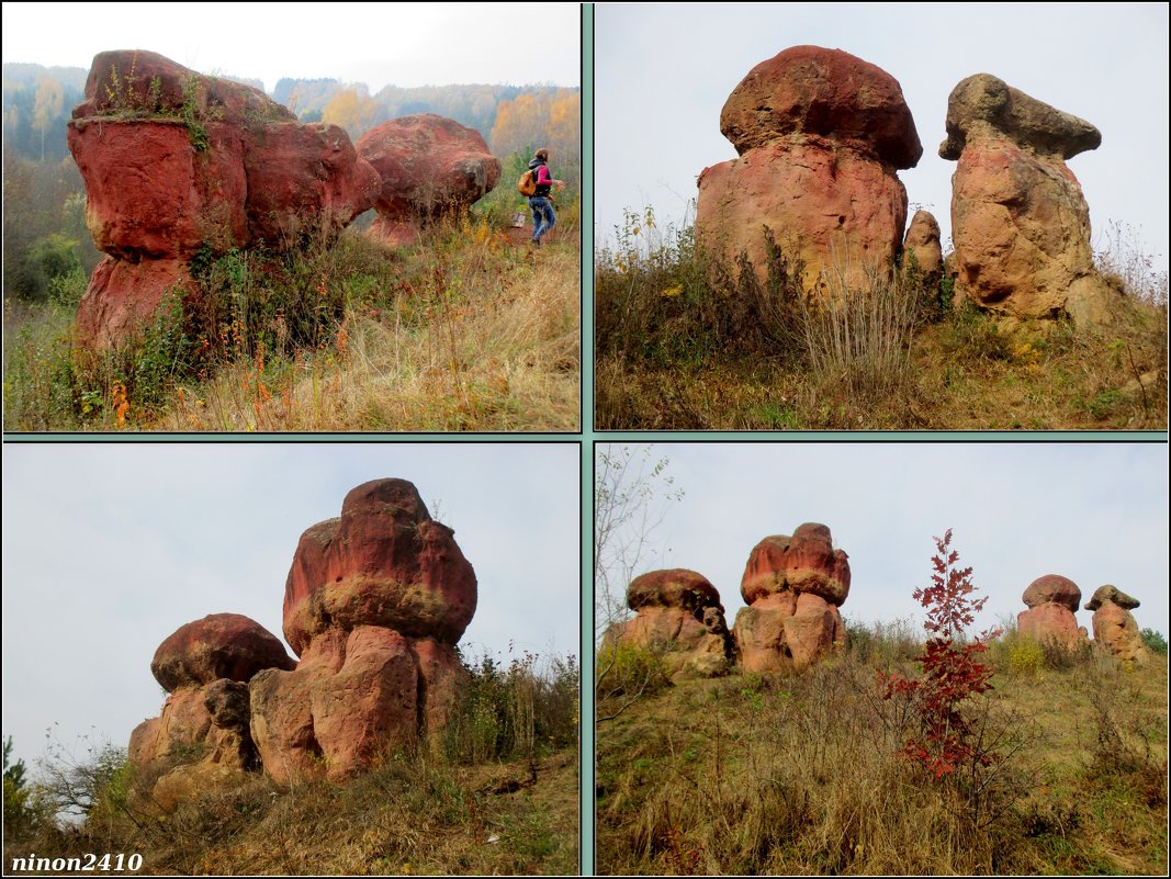Природный памятник "Красные грибы" в Кисловодском курортном парке - Нина Бутко