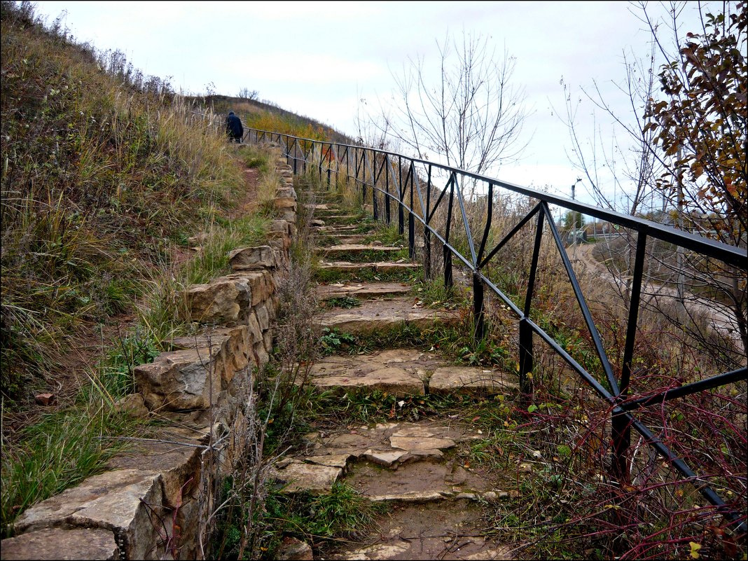 Лестница, ведущая на гору Городища - Надежда 