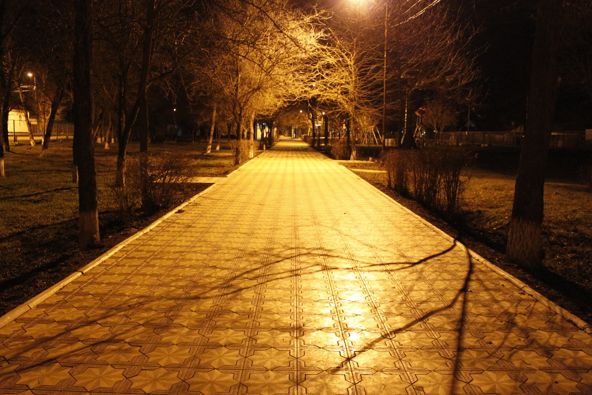 Ночью парк Сальск