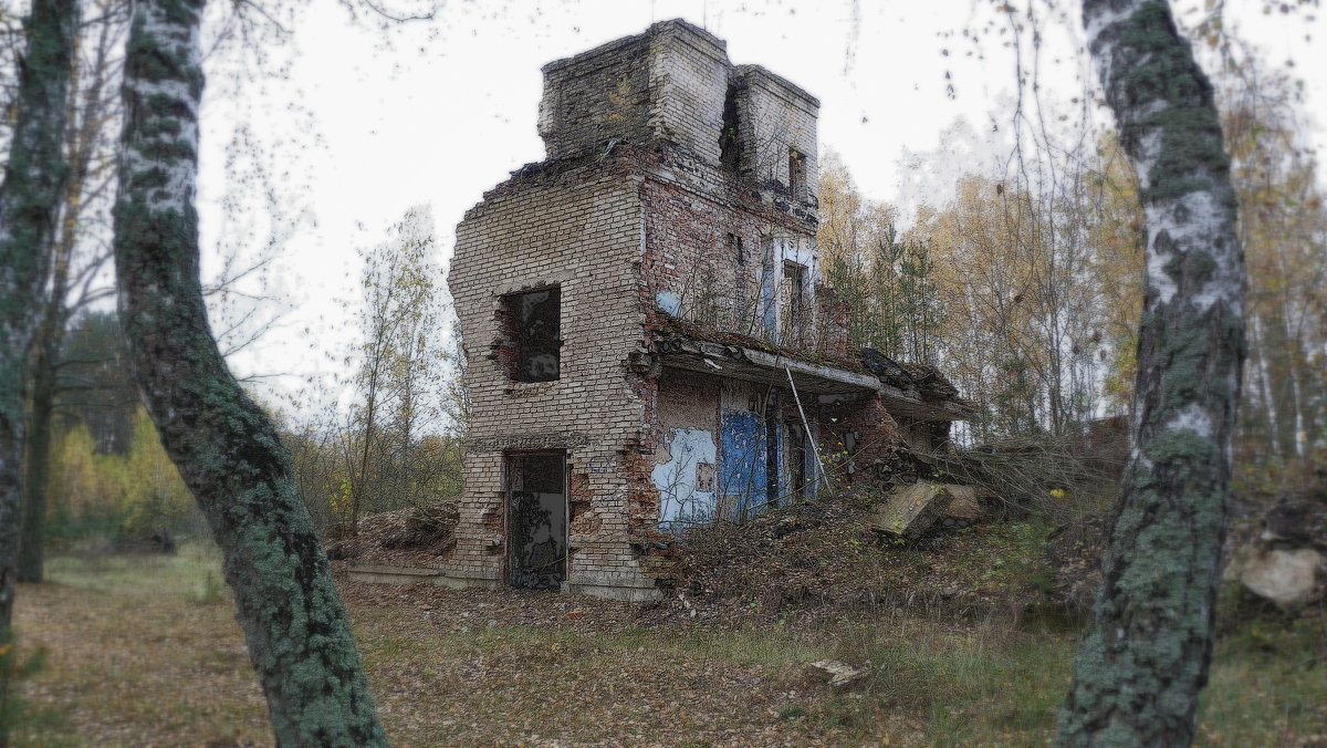 пост-Чернобыль - Александр Прокудин