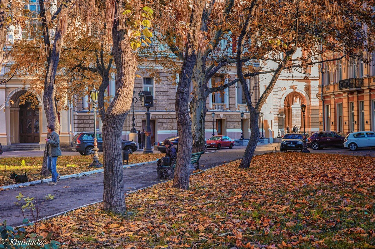 Ноябрь в Пале-Рояле. - Вахтанг Хантадзе