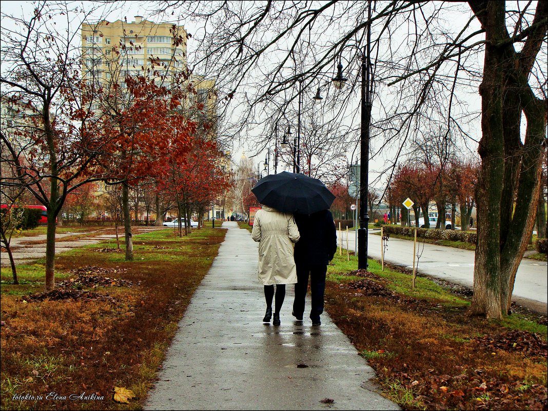 Просто шёл дождь - °•●Елена●•° ♀