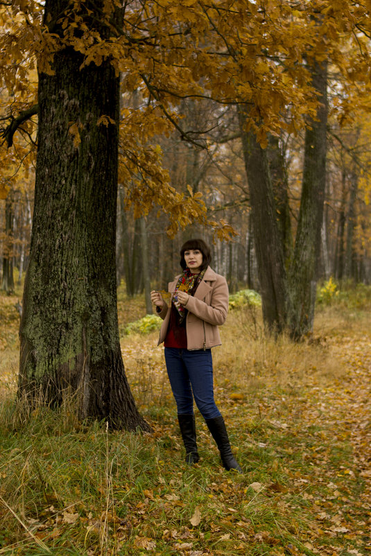 Осенний лес - YGulnara Юнусова