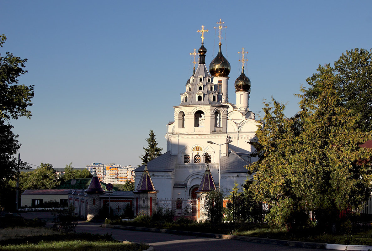 Петропавловский монастырь. Брянск - MILAV V