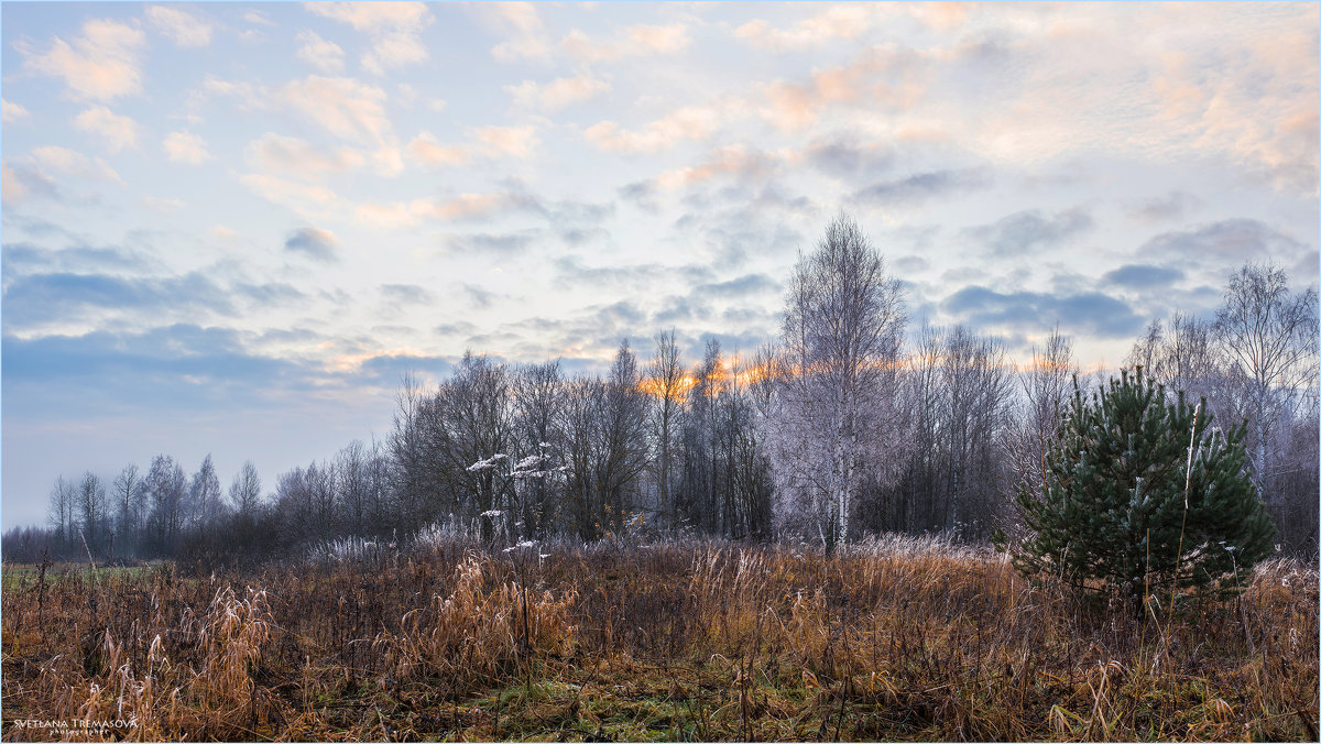 Граница между осенью и зимой - Светлана Тремасова